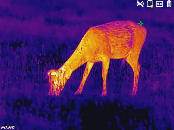 Monoculaire thermique Pixfra série Ranger Noir – Image 10