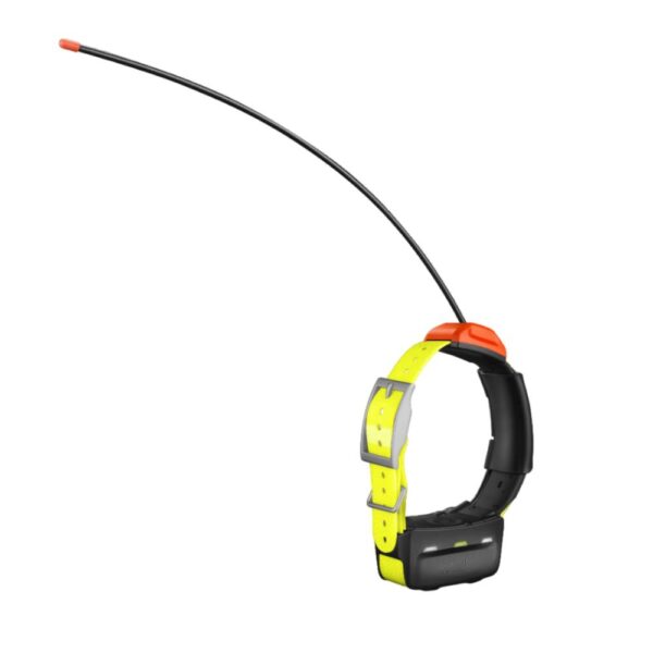 Pack GPS Garmin Alpha 10 T 5X - version F – Image 3
