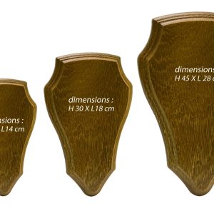 Ecusson pour trophée chevreuil ou cerf
