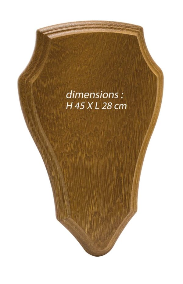 Ecusson pour trophée chevreuil ou cerf – Image 3