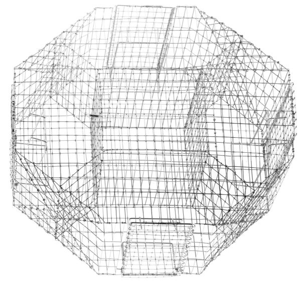 Cage à pies – Image 3
