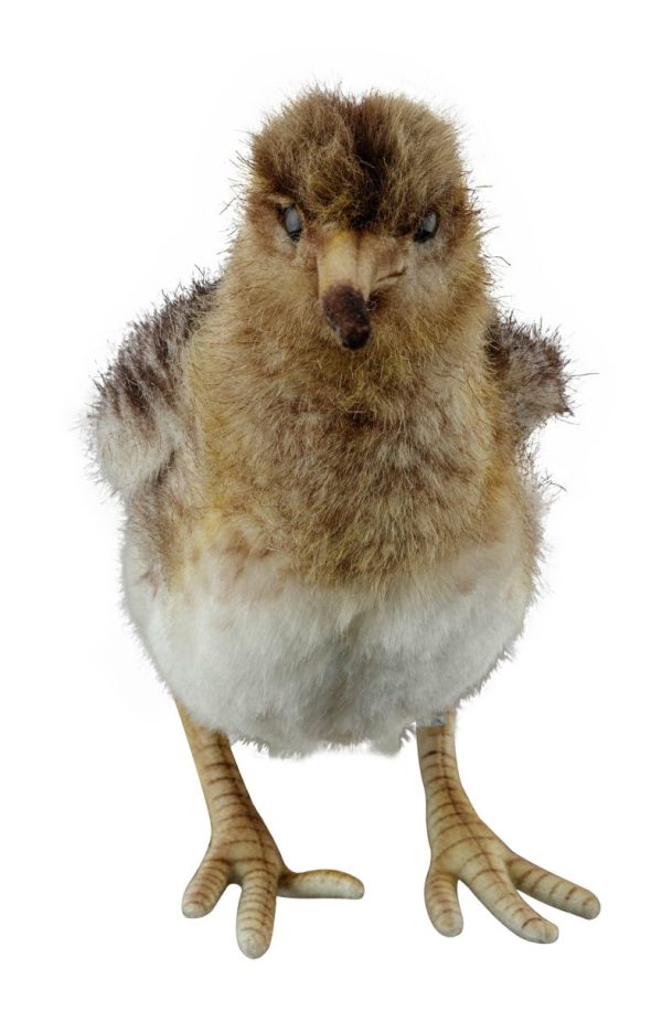Peluche bécasse – Image 2
