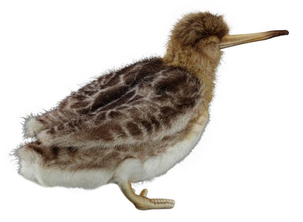 Peluche bécasse – Image 3
