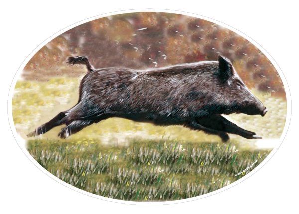 Stickers animaliers – Image 3