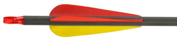 Flèche en carbone 32'' spin 340 – Image 2