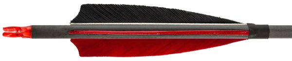 Flèches carbone 32'' spin 340 - plumes – Image 2