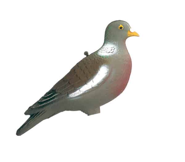 Appelant palombe – Image 2