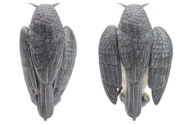 Appelant Grand Duc ailes battantes – Image 2