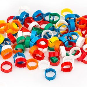 Bagues de repérage clips par 100