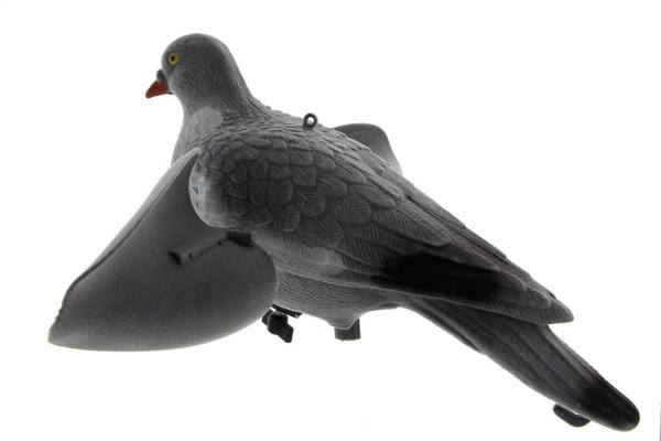 Appelant pigeon ailes tournantes – Image 2