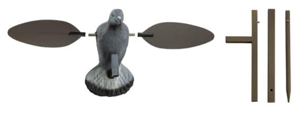 Appelant pigeon à aile tournante MOJO – Image 7