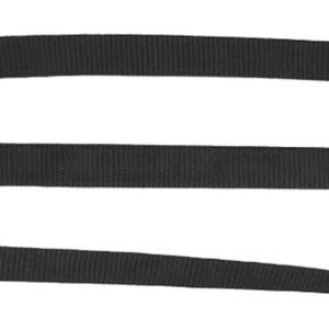 Laisse sangle nylon pour chien
