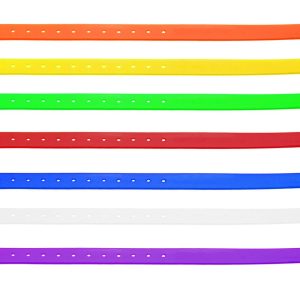 Collier pour chien 2,5 cm en polyuréthane - Country