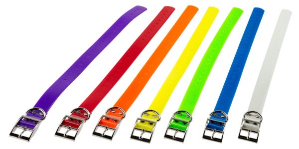 Collier pour chien 2,5 cm en polyuréthane - Country – Image 3