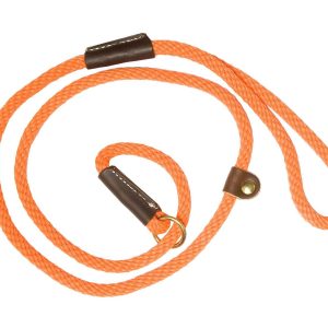 Laisses de dressage orange pour chien - Country