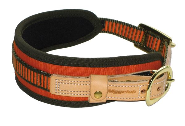 Collier chien de sang orange fluo - Niggeloh – Image 4