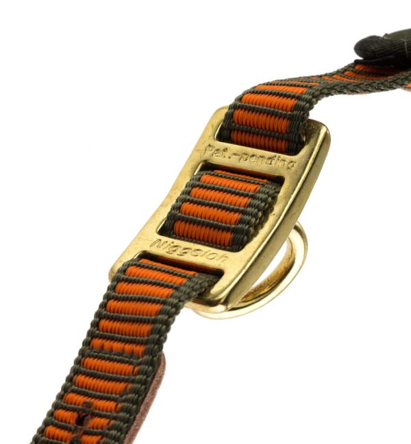 Collier chien de sang orange fluo - Niggeloh – Image 2