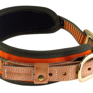 Collier chien de sang orange fluo - Niggeloh