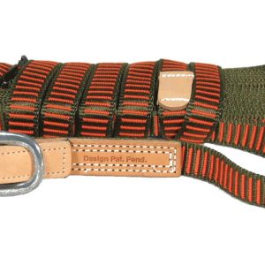 Longe pour chien de sang orange et verte - Niggeloh