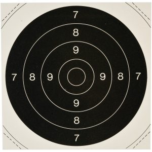 cibles 21 x 21 (visuelle du 53 x 53) les 100.