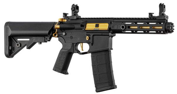 Réplique AEG LT-32 Hellion Noir/Gold pack complet 1j – Image 2