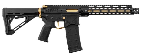 Réplique R15 mod 1 Zion Arms noire et or garde main long – Image 5