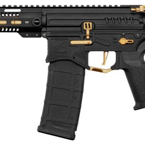 Réplique R15 mod 1 Zion Arms noire et or garde main long