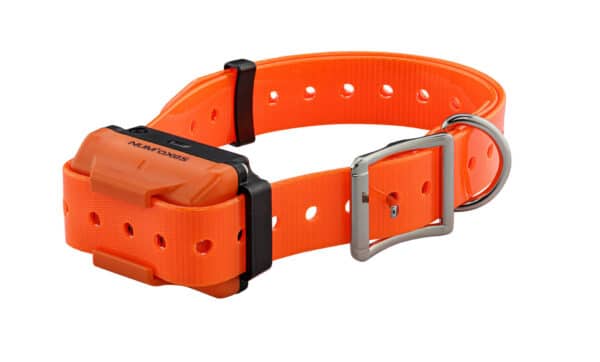 Télécommande et colliers de dressage Canicom R-1500 – Image 6
