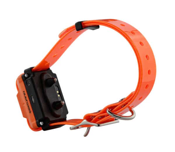 Télécommande et colliers de dressage Canicom R-1500 – Image 5