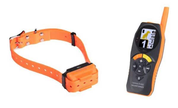 Télécommande et colliers de dressage Canicom R-800