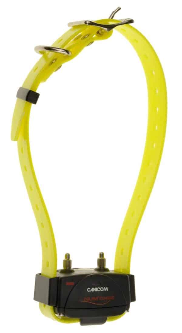Collier d'éducation Canicom seul – Image 3