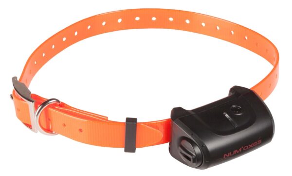 Kit Collier d'éducation Canicom 5.500 - 500m – Image 2