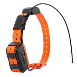 Canicom Collier GPS seul