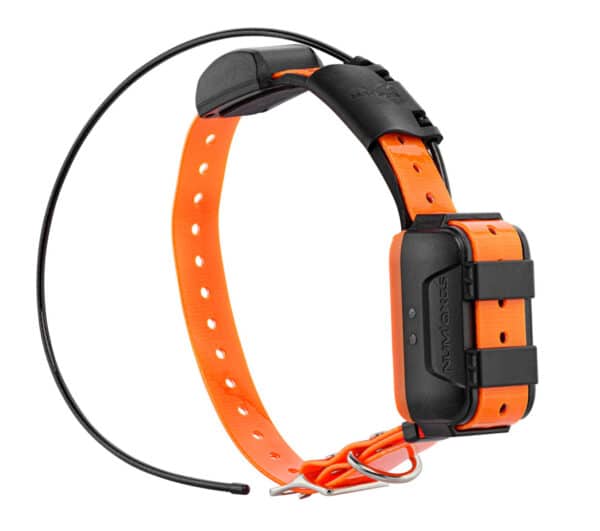 Canicom Collier GPS seul – Image 2