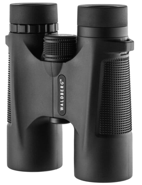 Jumelles Waldberg 10 x 42 – Image 3