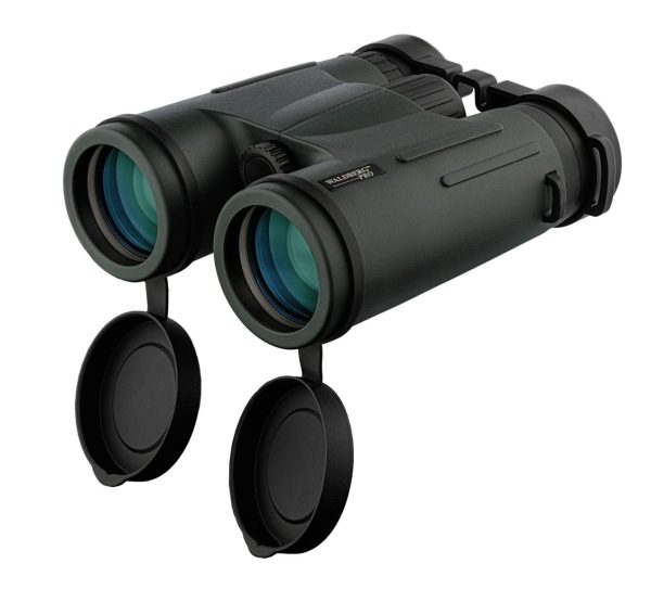 Jumelles Waldberg Pro 8 x 42 ED – Image 3