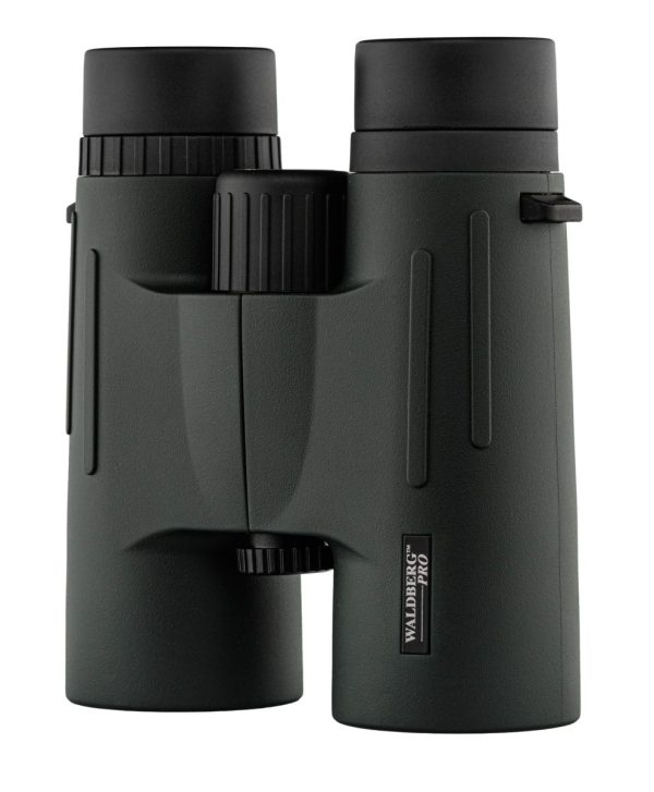 Jumelles Waldberg Pro 8 x 42 ED – Image 5