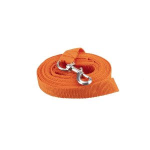 Laisse sangle 5m