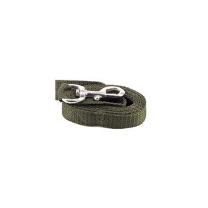 Laisse Sangle Verte 1,50m