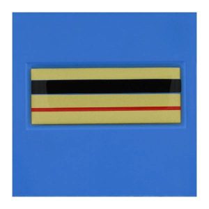 Grade velcro 5x5 plastifie relief brigadier chef principal