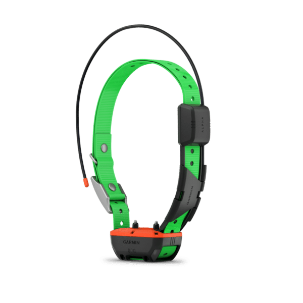 alt="Vue latérale du collier Garmin Alpha TT 25F mettant en évidence la sangle et le marquage Alpha"