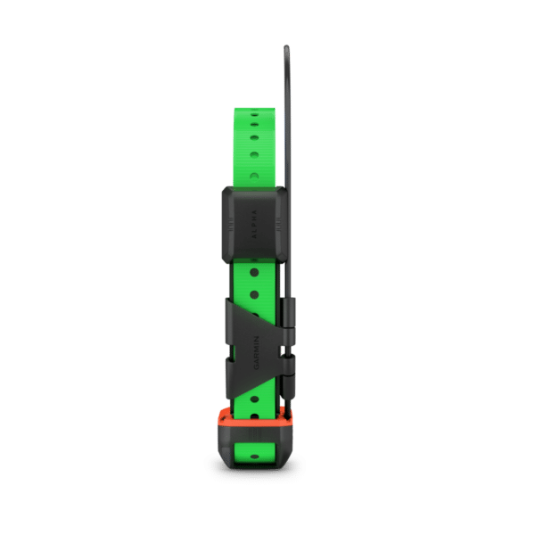 alt="Détail de la sangle et du système de fixation du collier Garmin Alpha TT 25F"