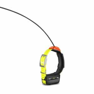 Collier de suivi Garmin t™ 5 - version F