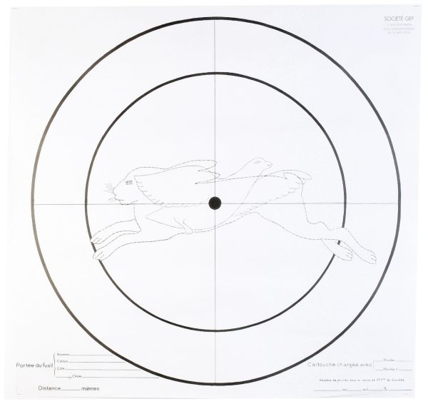 Lot de 100 Cibles d'essai Fusil 90x90