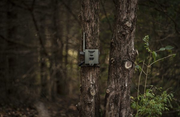 Boîtier de sécurité SB-500 FLEX Spypoint pour Caméra FLEX – Image 6