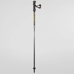 Bâtons Trail Speed Carbon