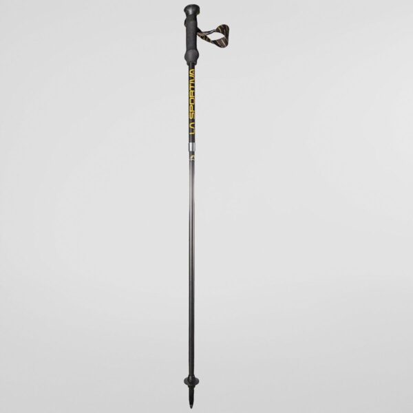 Bâtons Trail Speed Carbon