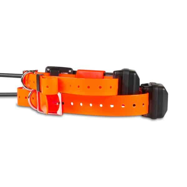 Collier short supplémentaire GPS Dogtrace X25 – Image 6