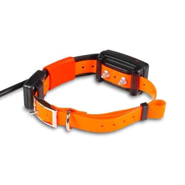 Collier supplémentaire SHORT GPS Dogtrace X25-T – Image 3