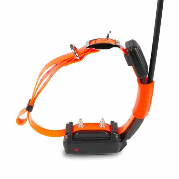 Collier supplémentaire SHORT GPS Dogtrace X25-T – Image 2